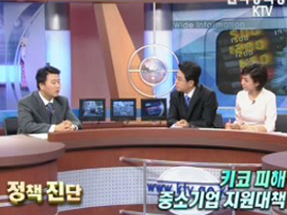 키코 피해 중소기업 지원 대책