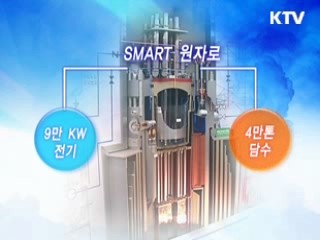 중소형원자로, 수출 길 연다!