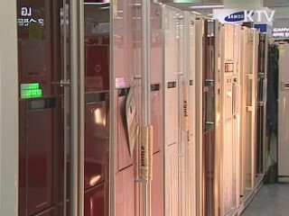 대용량 냉장고 등에 5% 개별소비세