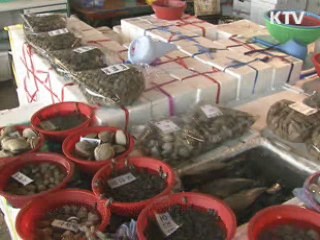 5월말까지 자연산 조개류 독소 주의보