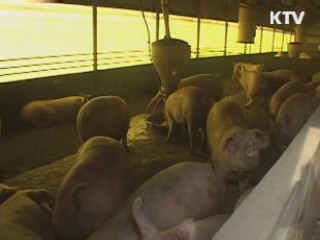 "이르면 내일부터 전국대상 백신 접종"