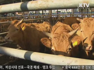 구제역 방역 강화···재해보험 품목 확대