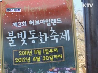 허브향에 더해지는 불빛의 향연