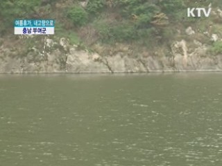 여름휴가, 내고향으로! - 부여 편 [정책, 현장을 가다]