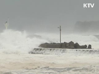 비보다 강풍 피해 컸다