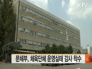 문체부, 체육단체 운영실태 감사 착수