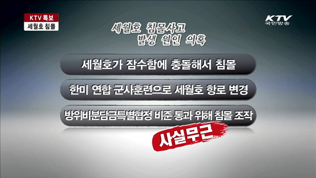 세월호 침몰사고 유언비어 '엄정 대응'