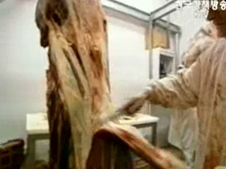 미 쇠고기 갈비뼈 발견, 해당작업장 수출중단