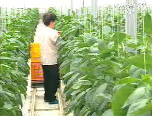 친환경 농산물 자조금 도입