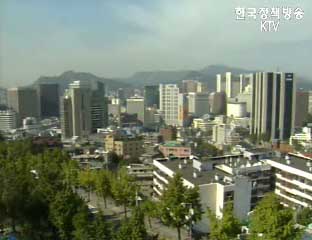 작년 개인 中企 해외부동산 투자 급증