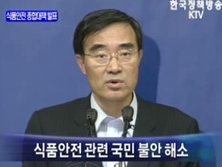 식품안전 관련 관계 장관 브리핑