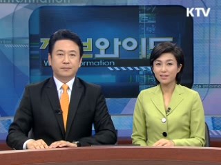 정보와이드 6 (11회)