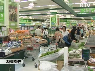 카드 사용 8개월만에 10%대 증가