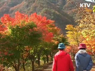 한국관광 선진화…4대강별 특성화 추진