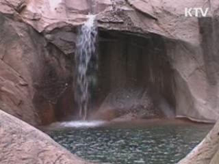 강원도 약수터 3곳 천연기념물 지정