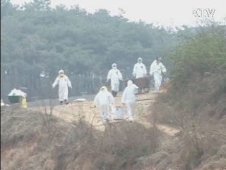 "가축 매몰지 지하수 오염 확인 안돼"