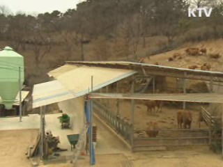 유통단계 축소···한우 소비자 가격 인하