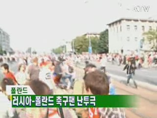 러시아-폴란드 축구팬 난투극