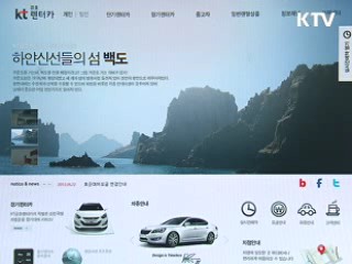 휴가철 소비자 속인 펜션·렌터카 적발