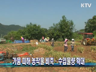 가뭄 피해 농작물 비축·수입물량 확대