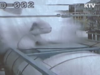 인터넷 '불산 괴담' 확산, 진실은?