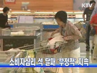 소비자심리 석 달째 '부정적' 지속