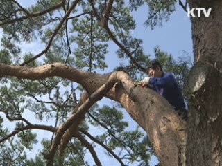 멸종위기 난 3종, 인공배양 성공