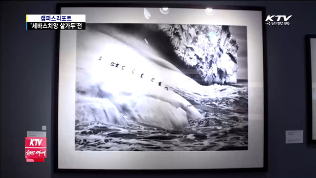 세바스치앙 살가두의 '지구 사랑'