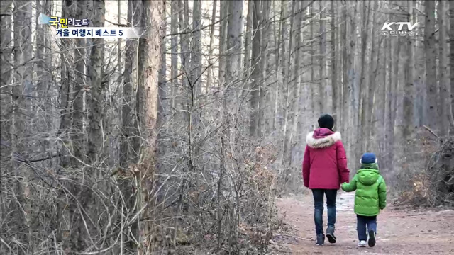 새해에 가면 좋을 곳 베스트 5