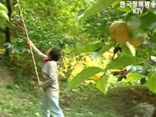 대부분 정상 추진