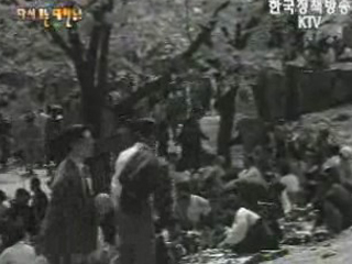 창경원의 ？꽃놀이(`59)