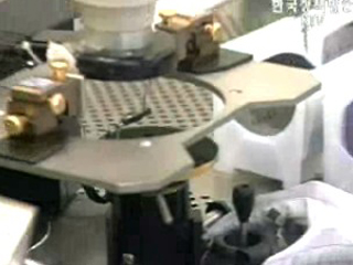 OECD `내년 한국 4.4% 경제성장`