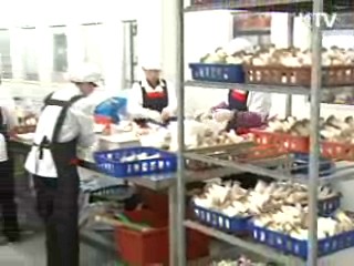 "불황을 넘어서다"