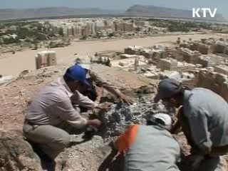 "진상파악 국제공조"…여행 자제 당부