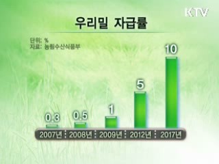 되살아나는 '우리 밀' [현장포커스]