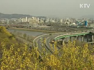 닷새 빠른 개화, 봄꽃 보러 오세요