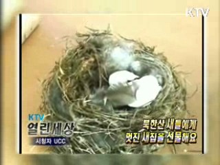 북한산 새들에게 멋진 새집을 선물해요 [KTV 열린세상]