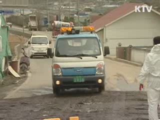 가평 구제역 발생…강원 평창 의심신고