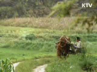 해외 진출 영화, 50%까지 금융기관 대출