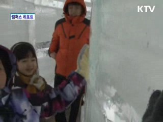 알프스마을 얼음분수축제 '북적'