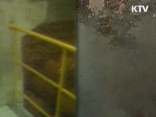 "중국, 탈북자 문제 국제규범 따라야"