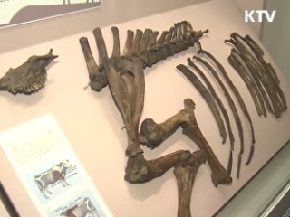 색다른 고대탐험전···"상상의 나래 펼쳐라"