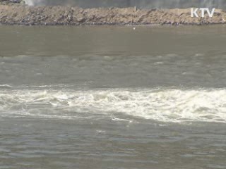 "대운하 염두 4대강 설계…담합 등 발생"