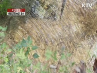 숲길마다 따뜻한 '생명 존중 숲길' [국민리포트]