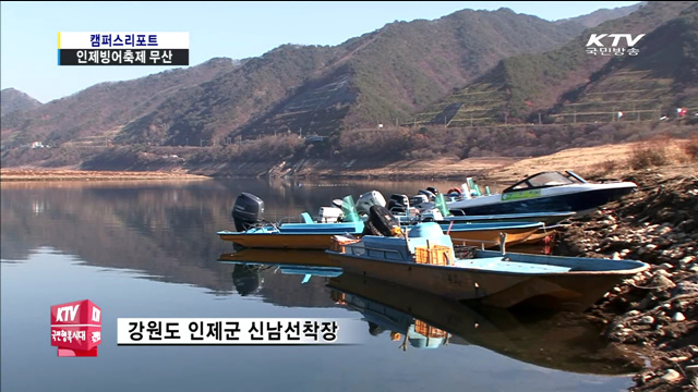 수심 낮아져 인제빙어축제 무산
