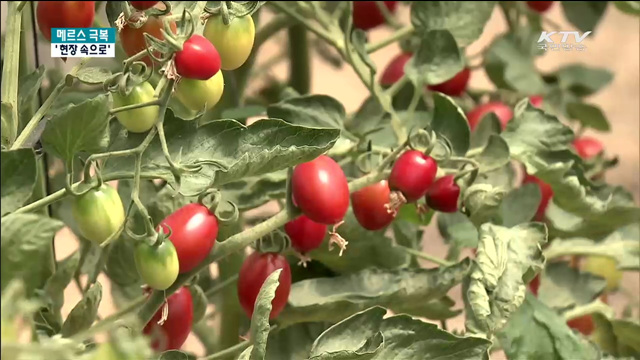 체험농장·관광지 현장방문…"놀러 오세요"