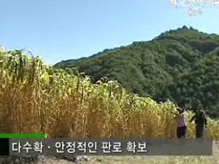 종자 로열티시장을 잡아라