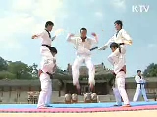 전세계 태권도 중심공간 조성