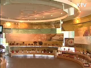 오늘의 정책(전체)