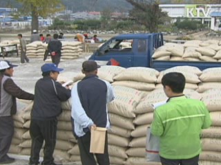 쌀 실수확량 422만4천톤 '수급 이상무' 